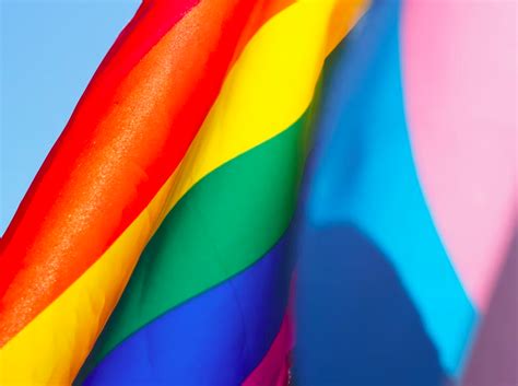 banderas de orientación sexual|Cuáles son las banderas LGBTIQA+ y cuál es su significado